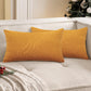 ok IN2xP4 P5 Set of 2 Solid Color Outdoor Waterproof Throw Pillow covers AND Inserts  Square 18"x18" or Rectangle 12"x20"
