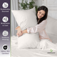 Organic Bamboo Sheets