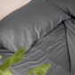 Organic Bamboo Sheets
