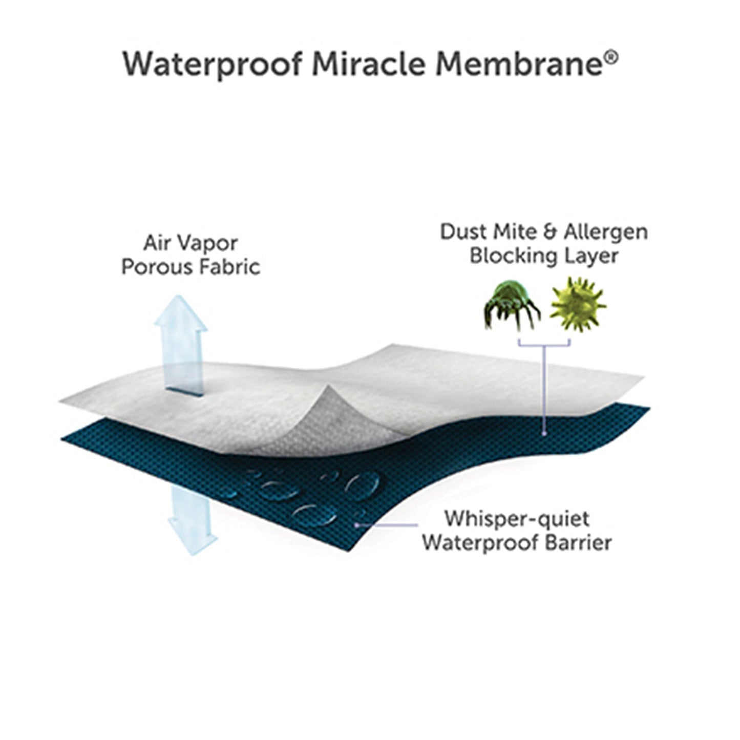 Cloud Mattress Protector
