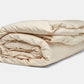 Cotton Duvet Cover Set