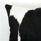 Patagonian Cowhide Pillow