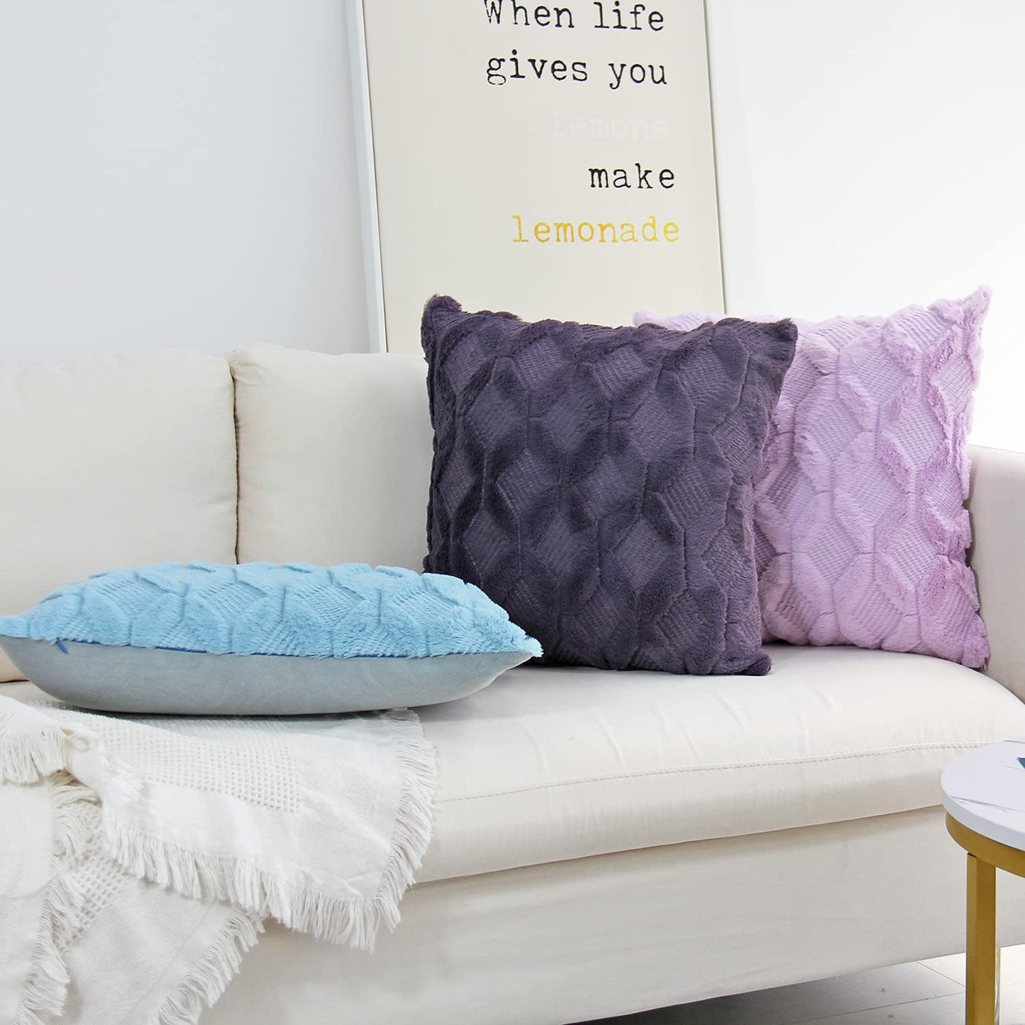 Set of 2 Plush Throw Pillow (With/Without Inserts) size 18"x18" pack of 2 throw pillows