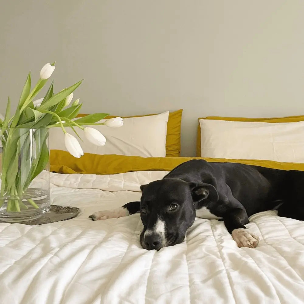 Linen+ Bamboo Quilted Coverlet