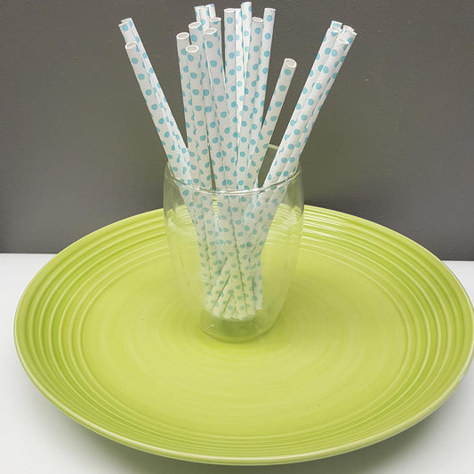 [PS1X100] paper straws