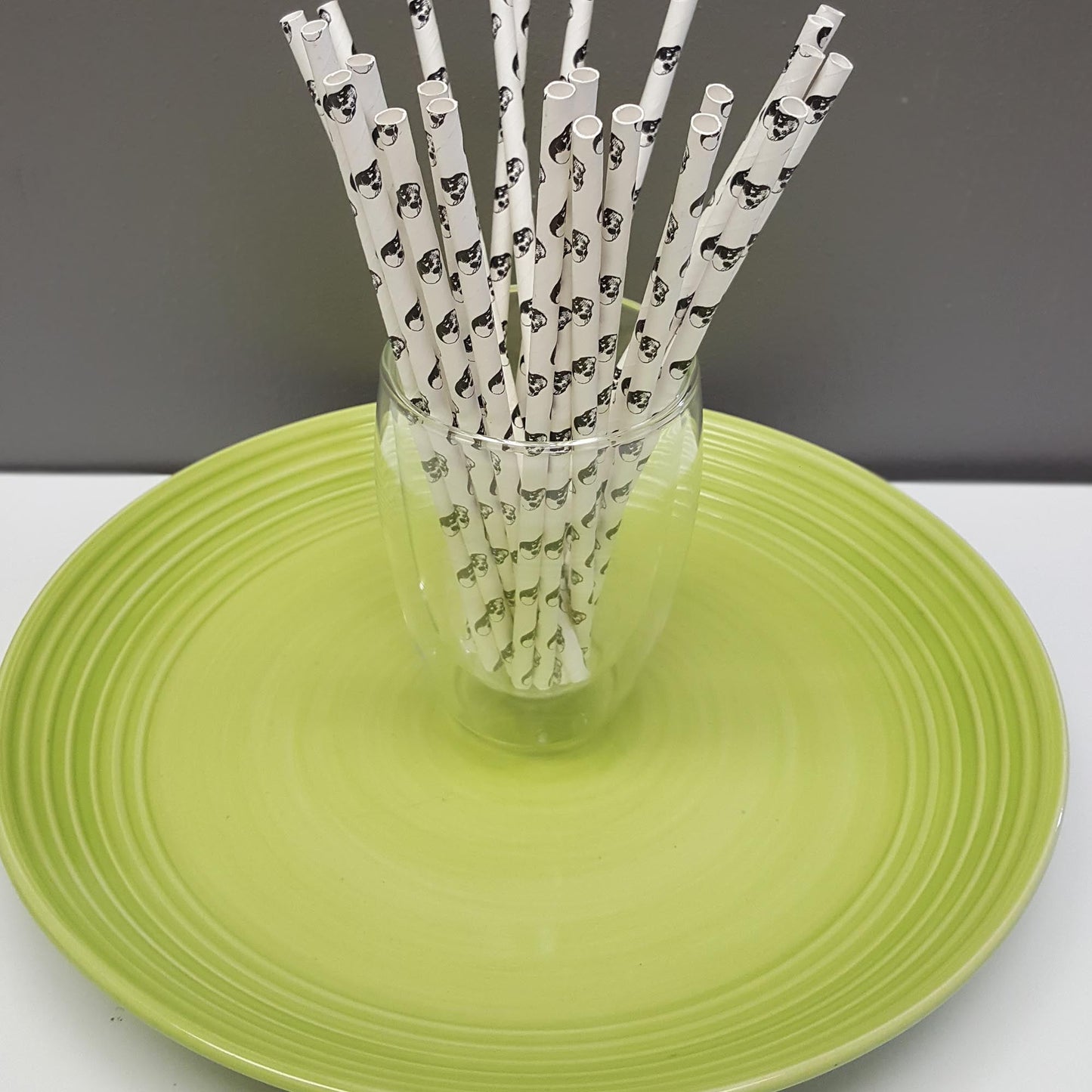 [PS21X100] paper straws ii