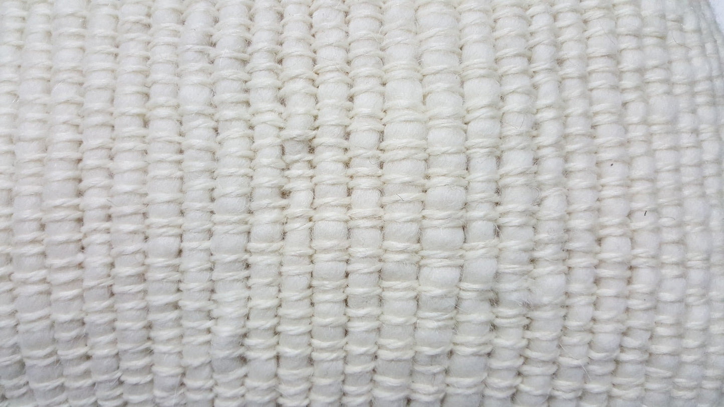 Penachos Fringed Wool Pillow