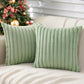 Pack of 2 Polyester Blend Throw Square Pillow Cover & 450g Insert reversible sides, removable cover size 18x18 inch