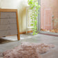 Single Fur Rug