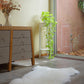 Single Fur Rug