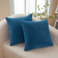 Set of 2 Polyester Blend soft hand feeling Throw Pillows (With or Without Inserts) 11 size  18"x18"