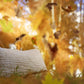 Natural Textured Wool Pillow