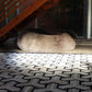 THAI – Cowhide Rug Modern