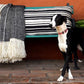 Harlequin Luxury Throw Blanket