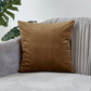 20''x20'' luxe velvet throw pillow | 17 colors soft & elegant solid design | modern couch & bedroom accent | insert included