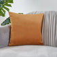 20''x20'' luxe velvet throw pillow | 17 colors soft & elegant solid design | modern couch & bedroom accent | insert included