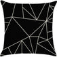 Set of 2 18"x18" square throw pillow geometric images covers only or with inserts