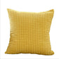 Set of 2 Polyester Blend soft hand feeling Pillow (With or Without Inserts) 4 sizes options