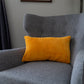 Set of 2 Stripe solid colors Throw Pillow (With/Without Inserts) 4 size options
