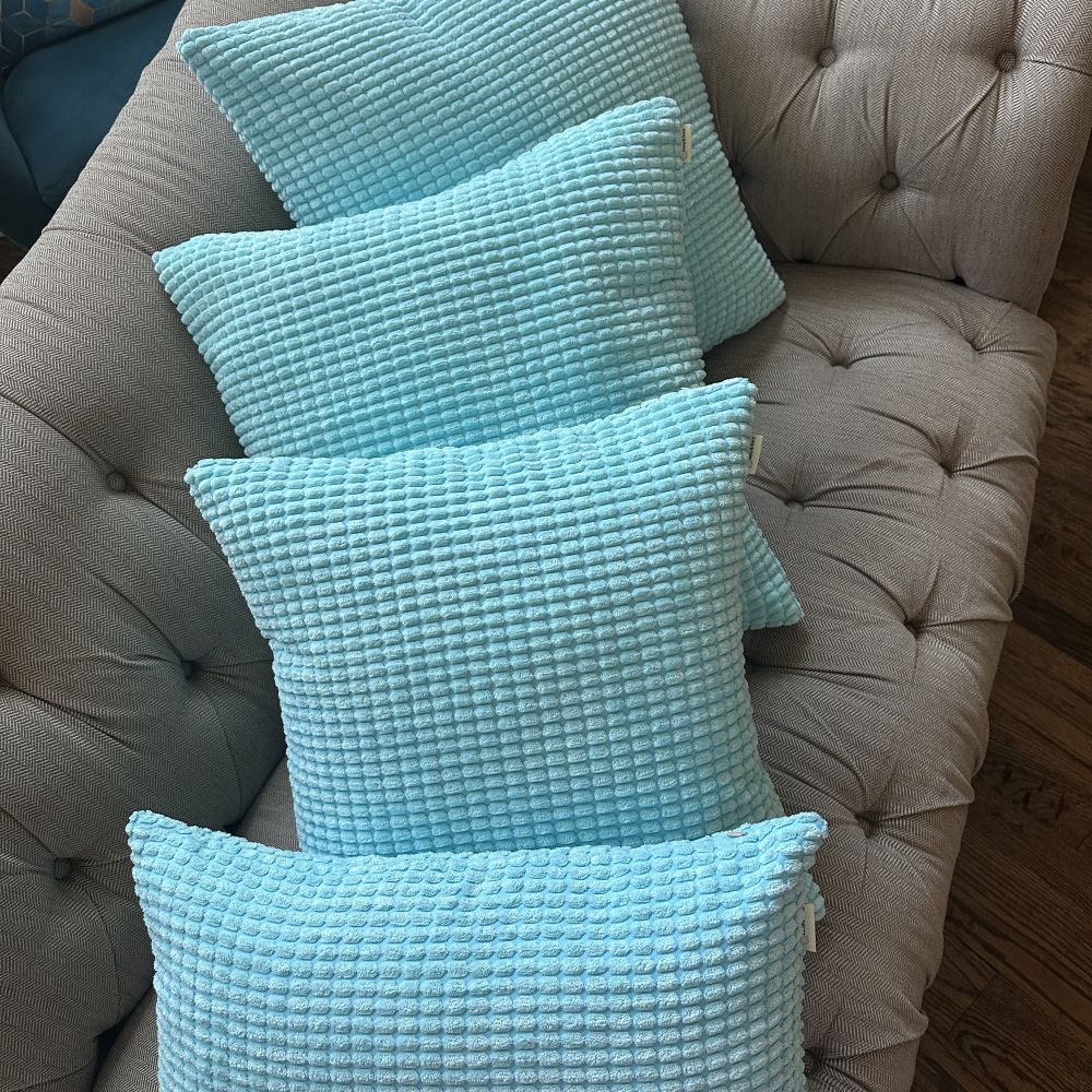 Set of 2 Polyester Blend soft hand feeling Pillow (With or Without Inserts) 4 sizes options