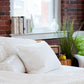 Queen Sheet Set