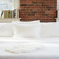 XL Twin/Twin Sheet Sets, Originals (20 CT)