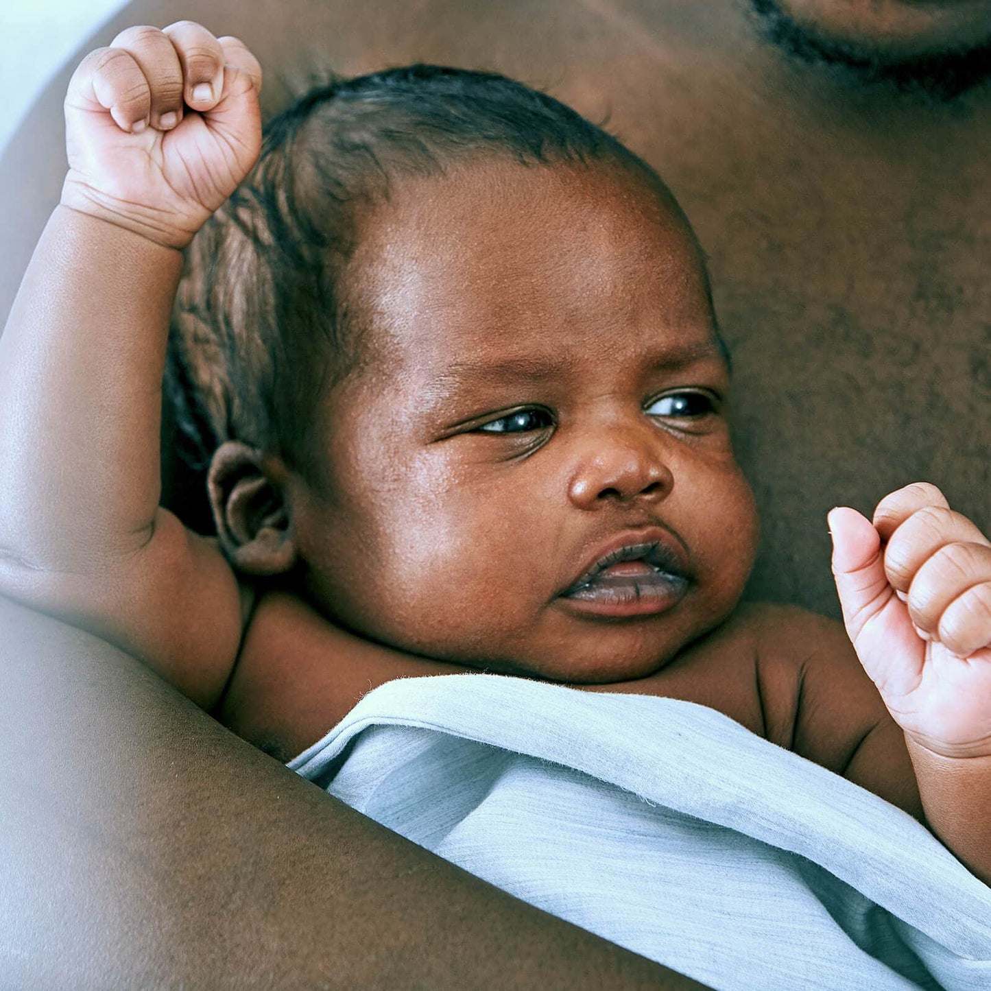 Organic Crib Fitted Sheet