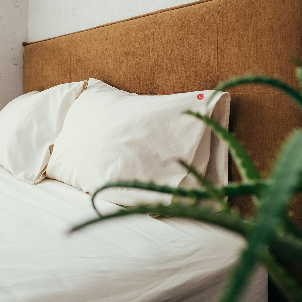 Organic Duvet Cover Set