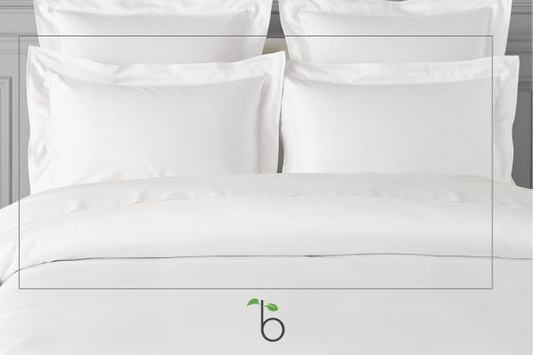 Queen Sheet Set